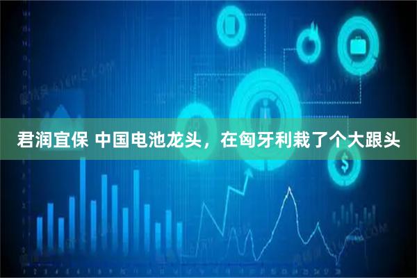 君润宜保 中国电池龙头，在匈牙利栽了个大跟头