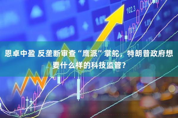 恩卓中盈 反垄断审查“鹰派”掌舵,特朗普政府想要什么样的科技监管?