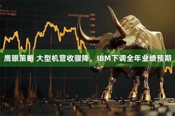 鹰眼策略 大型机营收骤降，IBM下调全年业绩预期